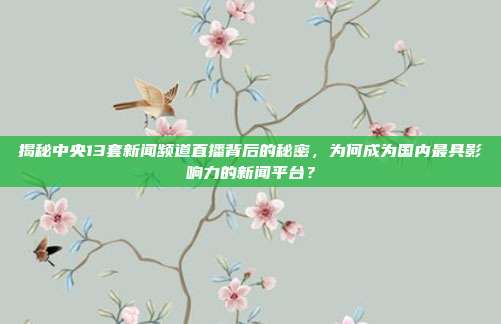 揭秘中央13套新闻频道直播背后的秘密，为何成为国内最具影响力的新闻平台？