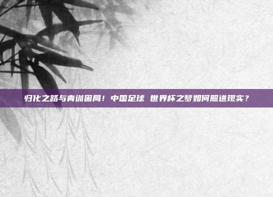 归化之路与青训困局！中国足球 世界杯之梦如何照进现实？