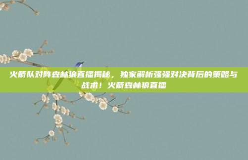 火箭队对阵森林狼直播揭秘，独家解析强强对决背后的策略与战术！火箭森林狼直播