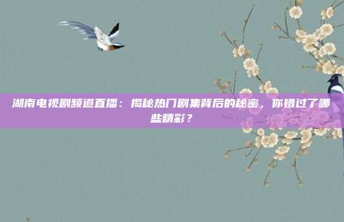 湖南电视剧频道直播：揭秘热门剧集背后的秘密，你错过了哪些精彩？