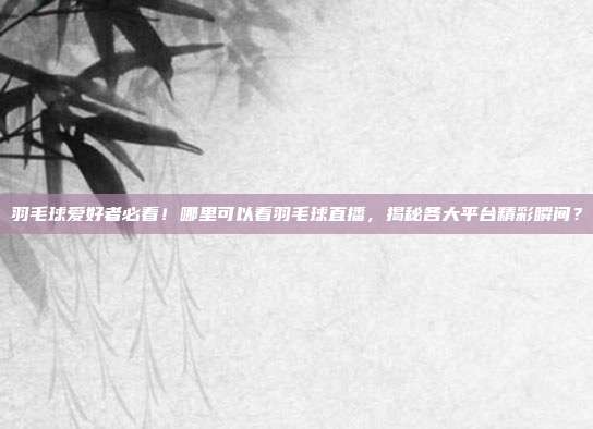 羽毛球爱好者必看！哪里可以看羽毛球直播，揭秘各大平台精彩瞬间？