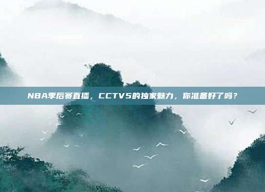NBA季后赛直播，CCTV5的独家魅力，你准备好了吗？